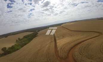 Imagem 3: Fazenda de 690 alqueires aptdão Lavoura - 01h de Cascavel