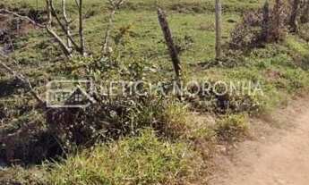 Imagem 7: Sítio à venda Chácara com 2 dormitórios