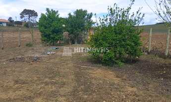 Imagem 6: SÍTIO - BELA VISTA - ITUPORANGA - SC