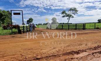 Imagem 6: Fazendo em cocalinho MT com 73 alqueires