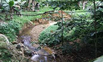 Imagem 2: Chácara à Venda em Guaramirim com 7 Lagoas
