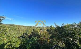 Imagem: Chácara, 8000 m² - Zona Rural - Palmas/TO