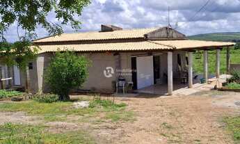 Imagem: FAZENDA EM GARARU AO LADO DO RIO SÃO FRANCISCO