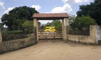 Imagem: Fazer à venda com 7 hectares