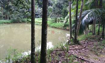 Imagem: Chácara à Venda em Guaramirim com 7 Lagoas