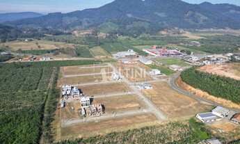 Imagem: Lote - Vila das Palmeiras