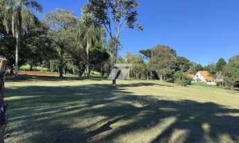 Imagem: IMOVEL A VENDA BR 277 9,5ha