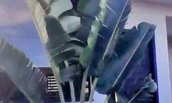 Imagem: Casa com 3 quartos a venda, Nova Barra Velha