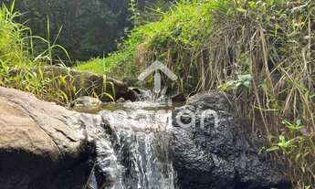 Imagem: Sítio, Alto Bau - Ilhota