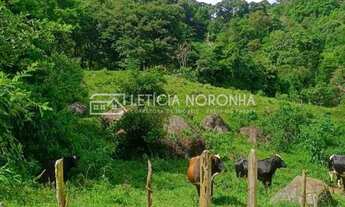 Imagem: Terreno à Venda