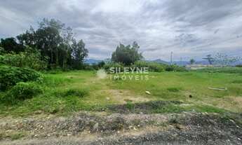 Imagem: Golfinho Terreno/lote