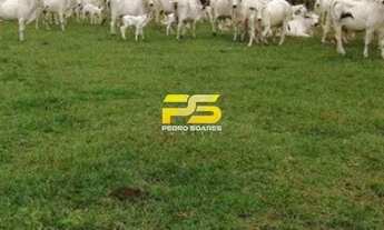 Imagem: Fazenda à Venda - Santa Rita do Tocantins