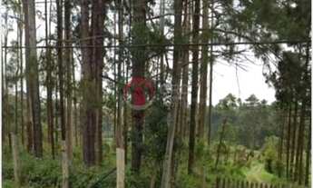 Imagem: Terreno - Embu-Guaçu