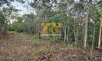 Imagem 3: Chácara 2,5 Alqueires - Zona Rural - Próxima a Palmas - Porto Nacional/TO