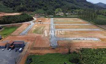 Imagem 4: Lote - Vila das Palmeiras