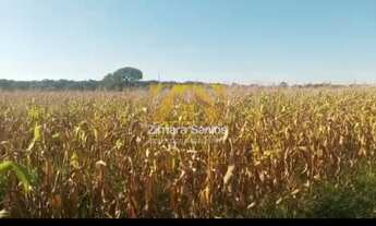 Imagem 3: Fazenda, 1.089 alqueires - Centro - Pium/TO