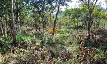 Imagem 5: Terreno, 2.618 m² - Próximo ao Limpão, n° 02 - Palmas/TO