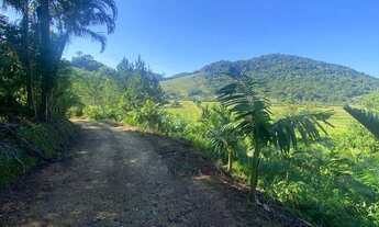 Imagem 7: Sitio com casa, ranchos, arrozeiras e criação de peixe em Massaranduba