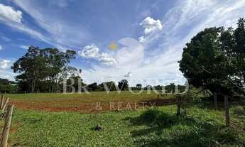 Imagem 6: Chácara com 6 hectares em taquaral