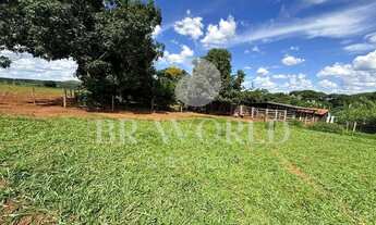 Imagem 5: Chácara com 6 hectares em taquaral