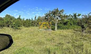 Imagem 5: Fazenda, 625 alqueires - Zona Rural - Duerê/TO