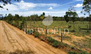Imagem 5: Fazenda à venda em Abadiania com 42 alqueires