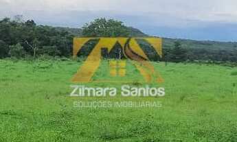 Imagem 5: Fazenda com 53,5 Alqueires - Zona Rural - Aparecida do Rio Negro/TO