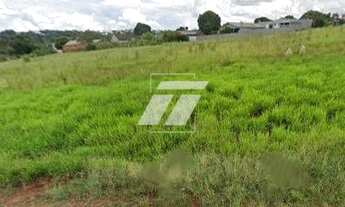 Imagem 1: Loteamento, Cataratas - Cascavel