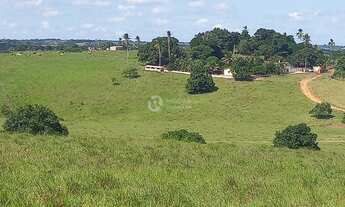 Imagem: VENDE-SE LINDA FAZENDA COM 284 TAREFAS EM