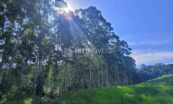 Imagem: TERRENO - RIO DE DENTRO - PETROLÂNDIA