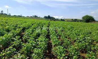 Imagem: TERRENO - CHAPADÃO DO LAGEADO - SC