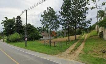 Imagem: Terreno com 18.729,52m² - Amizade