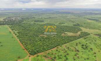 Imagem: Fazenda, 1.089 alqueires - Centro - Pium/TO