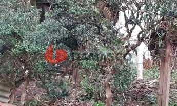 Imagem: Casa à venda 1 Quarto, 6 Vagas, 259M²