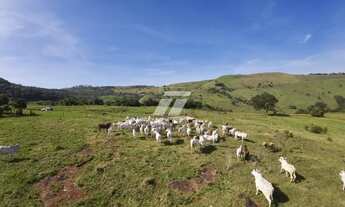 Imagem: FAZENDA COLONIA TORMENTA 205,7ha pecuária