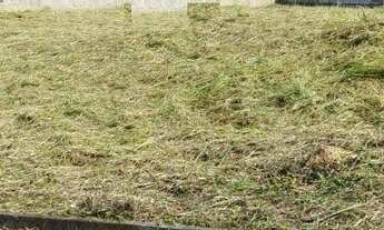 Imagem: Terreno a venda no Loteamento Girardi