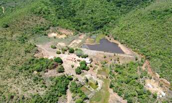 Imagem: Fazenda 34 Alq - 90km de Palmas