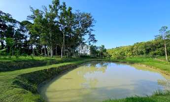 Imagem: Terreno - Sítio - Interior de Barra Velha