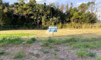 Imagem: TERRENO - TROPICAL 3