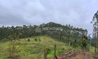 Imagem: TERRENO - LOCALIDADE DE PINHAL - PETROLÂNDIA