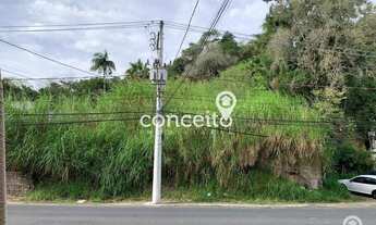 Imagem: Terreno 9.370m² na Velha!