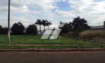 Imagem: TERRENO PLANO NO JARDIM PADOVANI