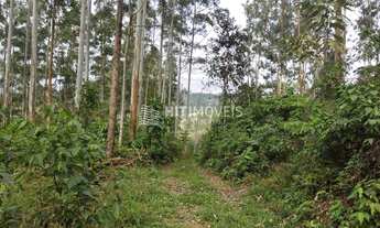 Imagem: TERRENO - ALTO BARRA NOVA - PETROLÂNDIA