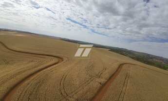 Imagem: Fazenda de 690 alqueires aptdão Lavoura