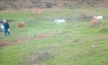 Imagem: Fazenda à Venda
