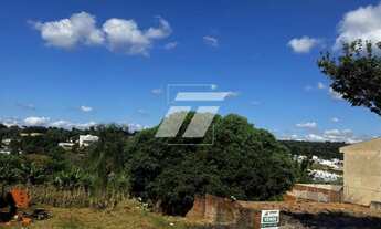 Imagem 2: Terreno no Florais