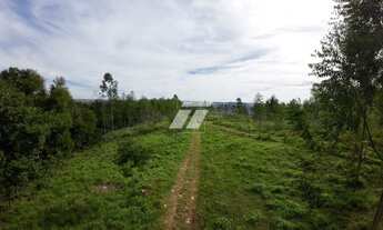 Imagem: Sítio, Área Rural de Cascavel 36,3ha pecuária
