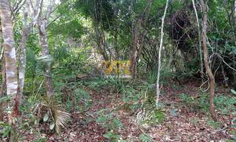 Imagem: Fazenda,109 alqueires - Zona Rural - Santa