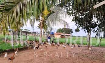 Imagem: Fazendo em cocalinho MT com 73 alqueires