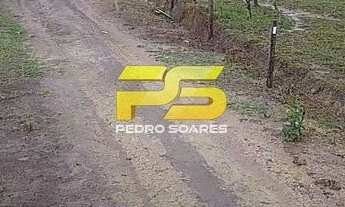 Imagem: Fazenda com 600 Hectare para Venda em Alagoas